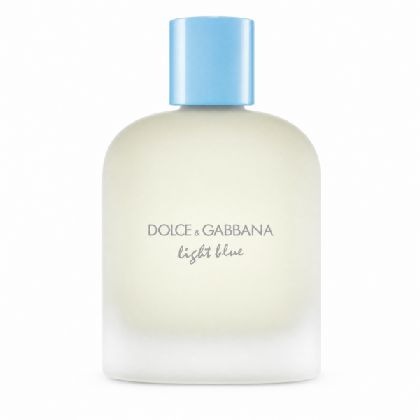 Dolce & Gabbana Light Blue pour Homme Eau De Toilette 100 ml
