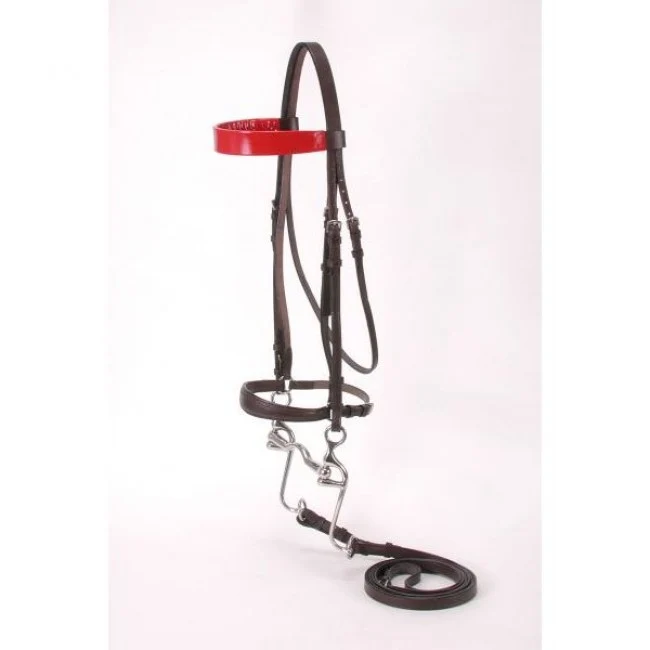 Walking Horse Bridle Brown Leather