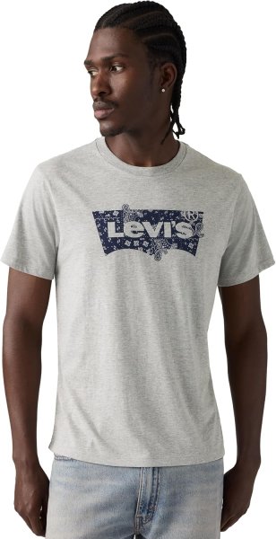 Levi's Men's Graphic Crew Neck T-Shirt (Pack of 1)
