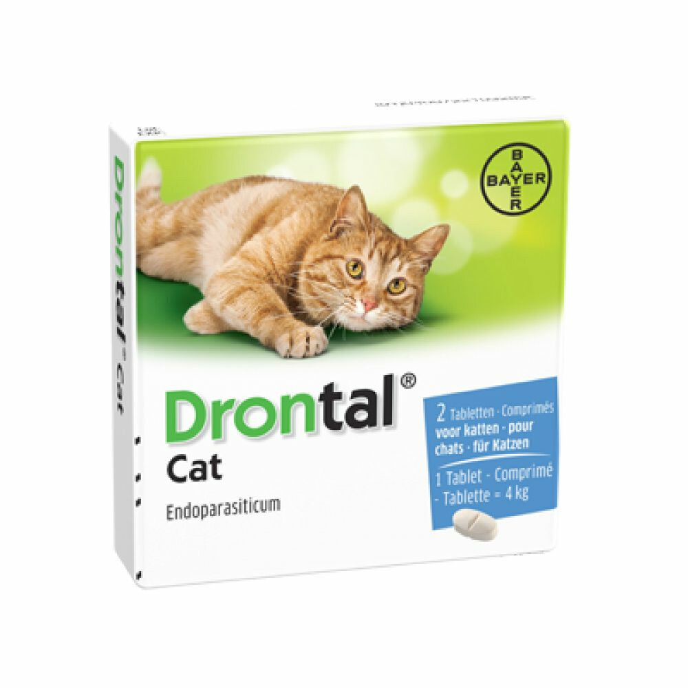 Drontal Cat