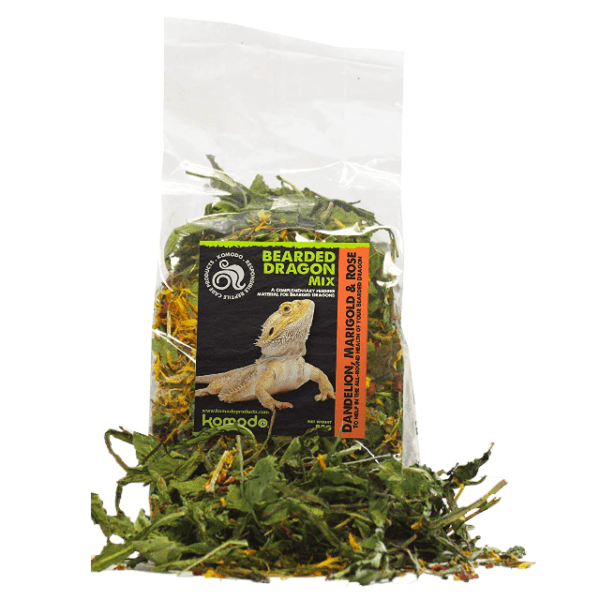 Bearded Dragon Mix