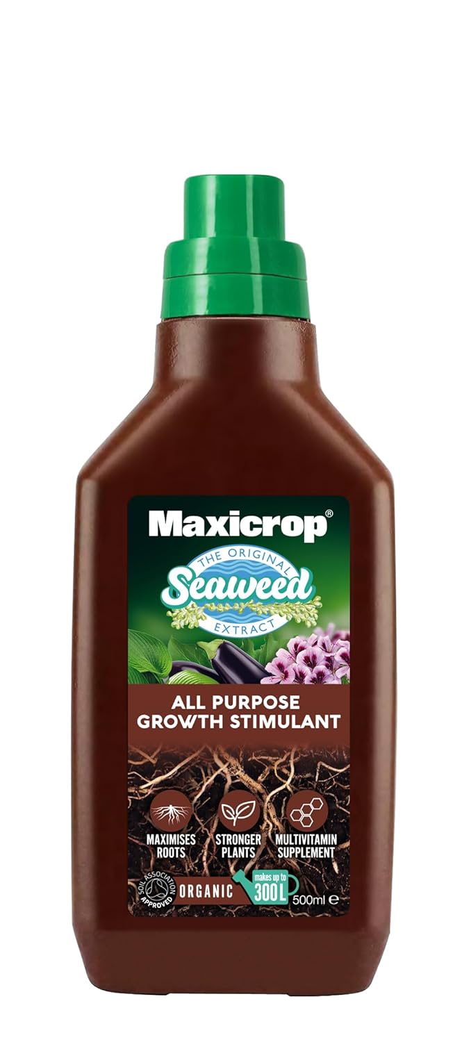 Thompson & Morgan Maxicrop Original Seaweed Extract Plant Feed - 500ml x 1 Unit