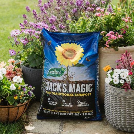 Westland Jack's Magic All Purpose Peat Reduced Compost (50-Litres)