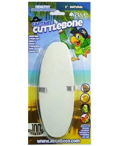 A&E - Captain Cuttlebone 5”