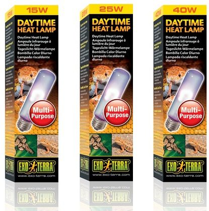 Daytime Heat Lamp