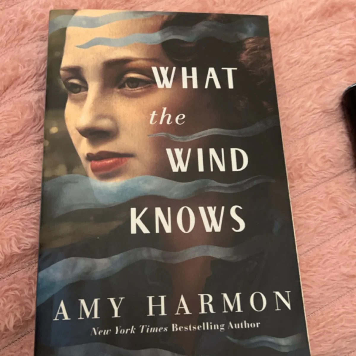 What the Wind Knows