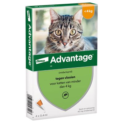 Advantage Kat 4 pip - Anti vlooienmiddel - 0.8 ml > 4 Kg