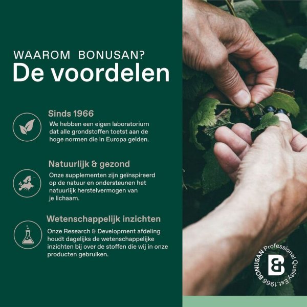 Multi Vital Forte Active tablets