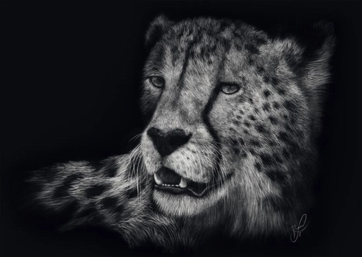 Ashley Rader - Cheetah - 1000 stukjes - Puzzel