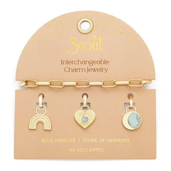 Interchangeable Charm Bracelet - Tourmaline/Healing/Gold