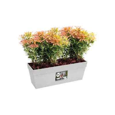 loft urban balkonbak 50cm wit