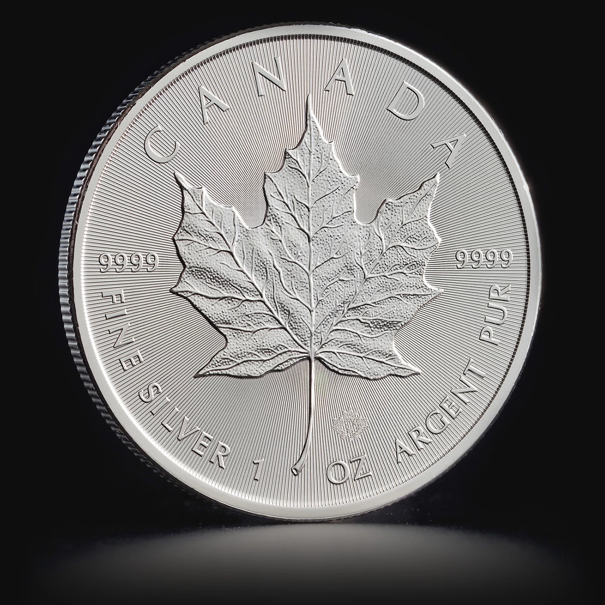 1oz Canadian Maple Silver Coin Best Value
