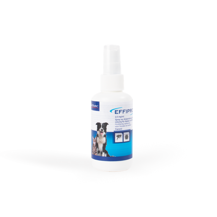 Effipro spray