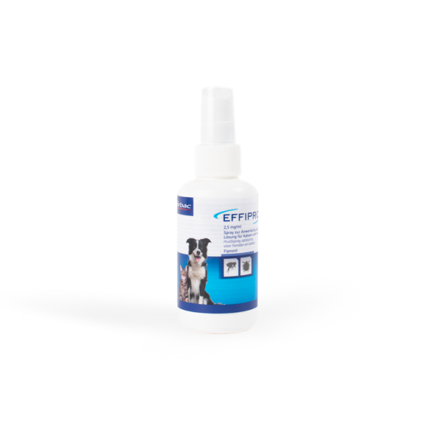 Effipro spray
