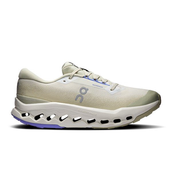 On Heren Cloudsurfer Trail 2 WP Schoenen